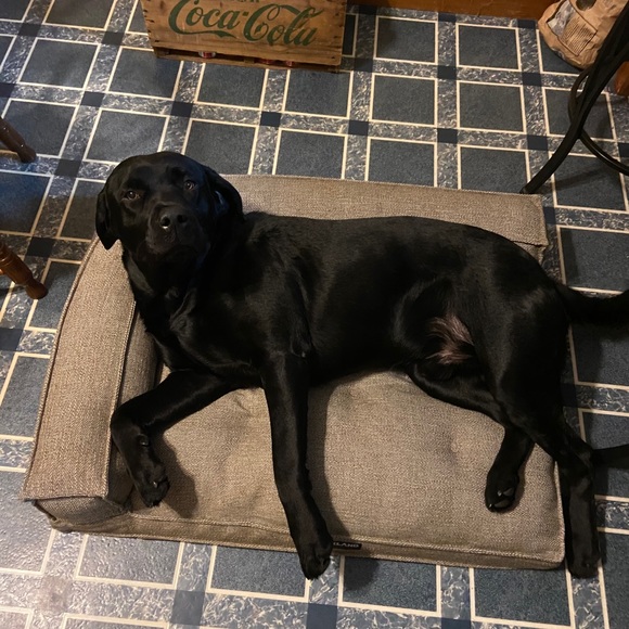 Meet your Posher, Rebecca - Picture 3 of 4